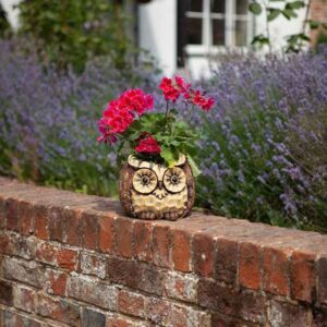 Owl planter