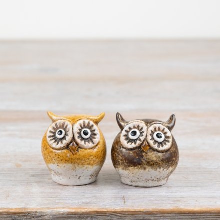 Rustic Brown owls