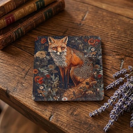 Fox Coaster